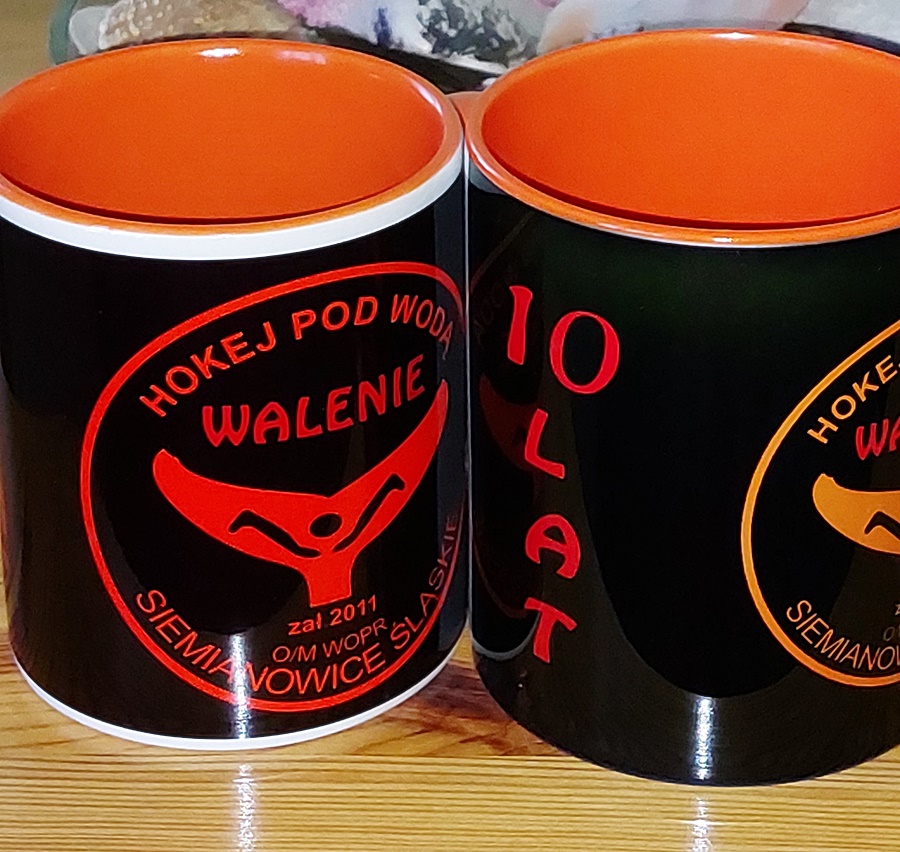 Hokej pod wodą Walenie 10 lat Waleni 2021